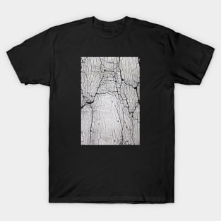 Cracked paint T-Shirt